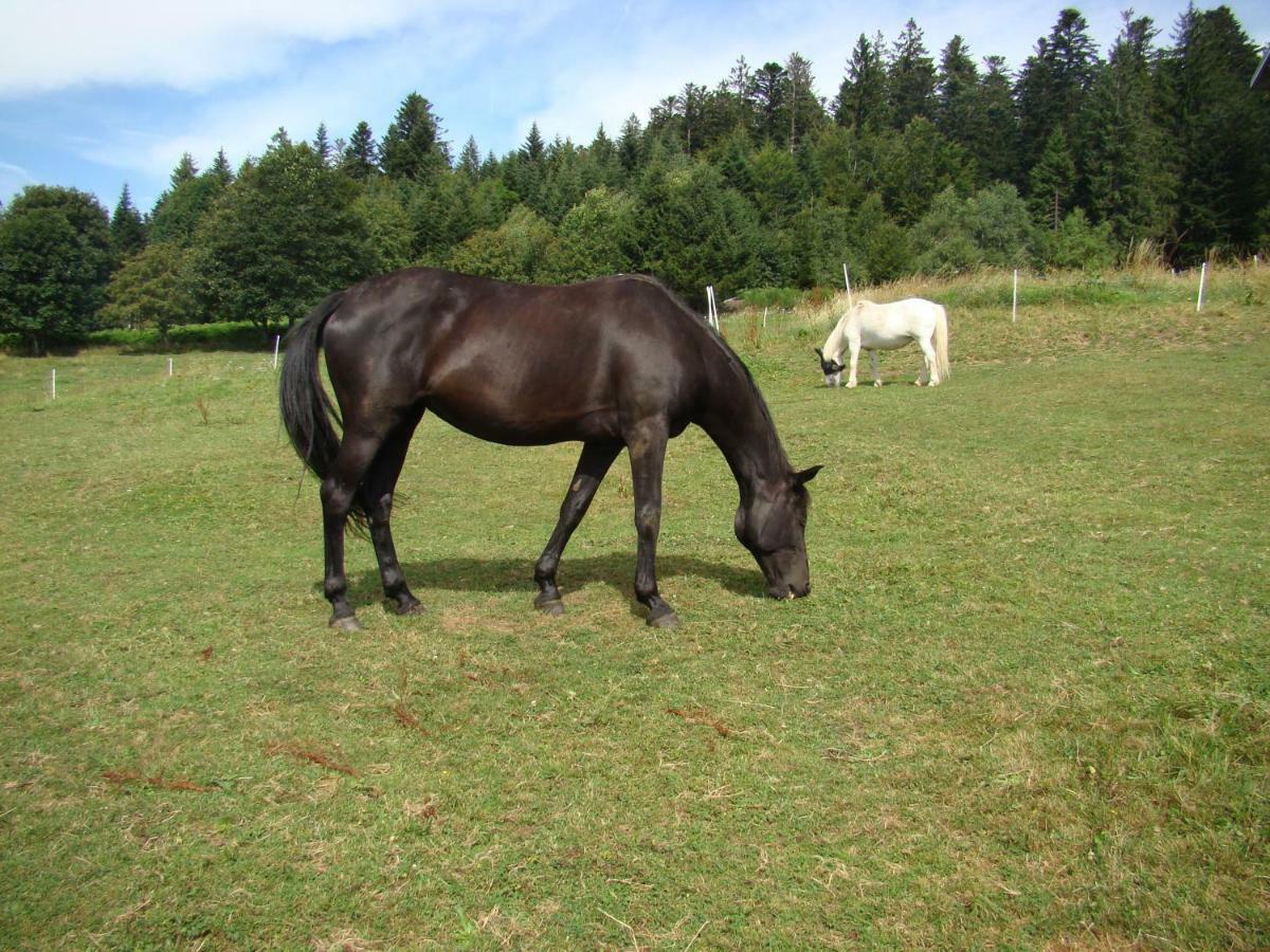 ג'רארדמר La Ferme Du Levant מראה חיצוני תמונה